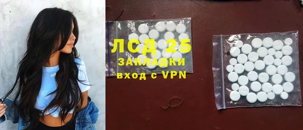 прущие грибы Верхний Тагил
