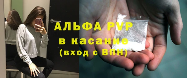 прущие грибы Верхний Тагил