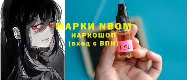 прущие грибы Верхний Тагил