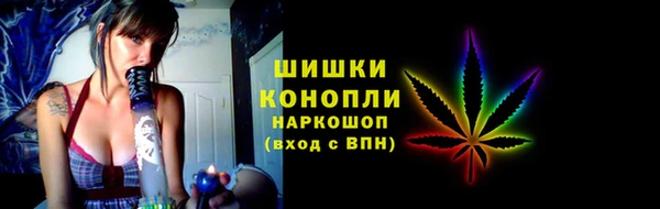 прущие грибы Верхний Тагил