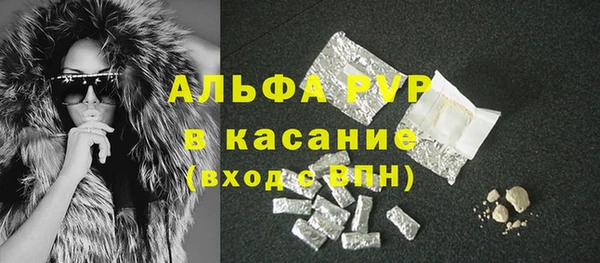 прущие грибы Верхний Тагил