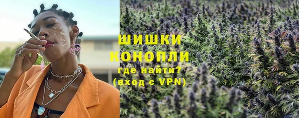 индика Дмитров