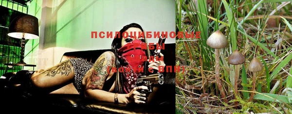 дживик Верея
