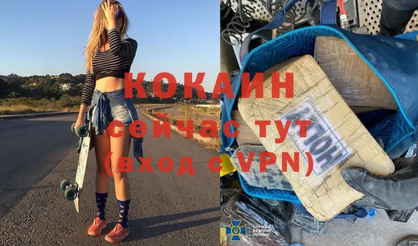 прущие грибы Верхний Тагил