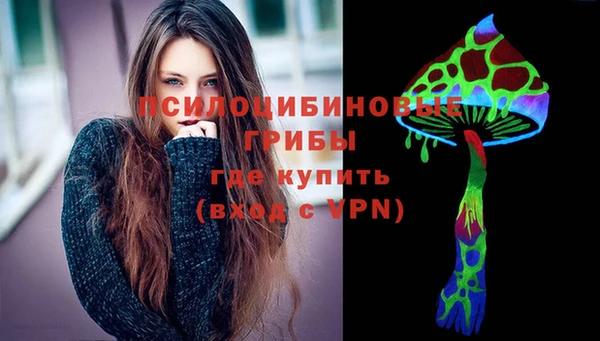 дживик Верея