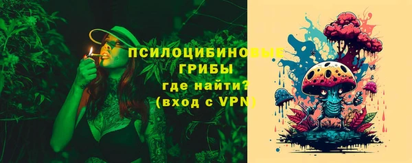 прущие грибы Верхний Тагил